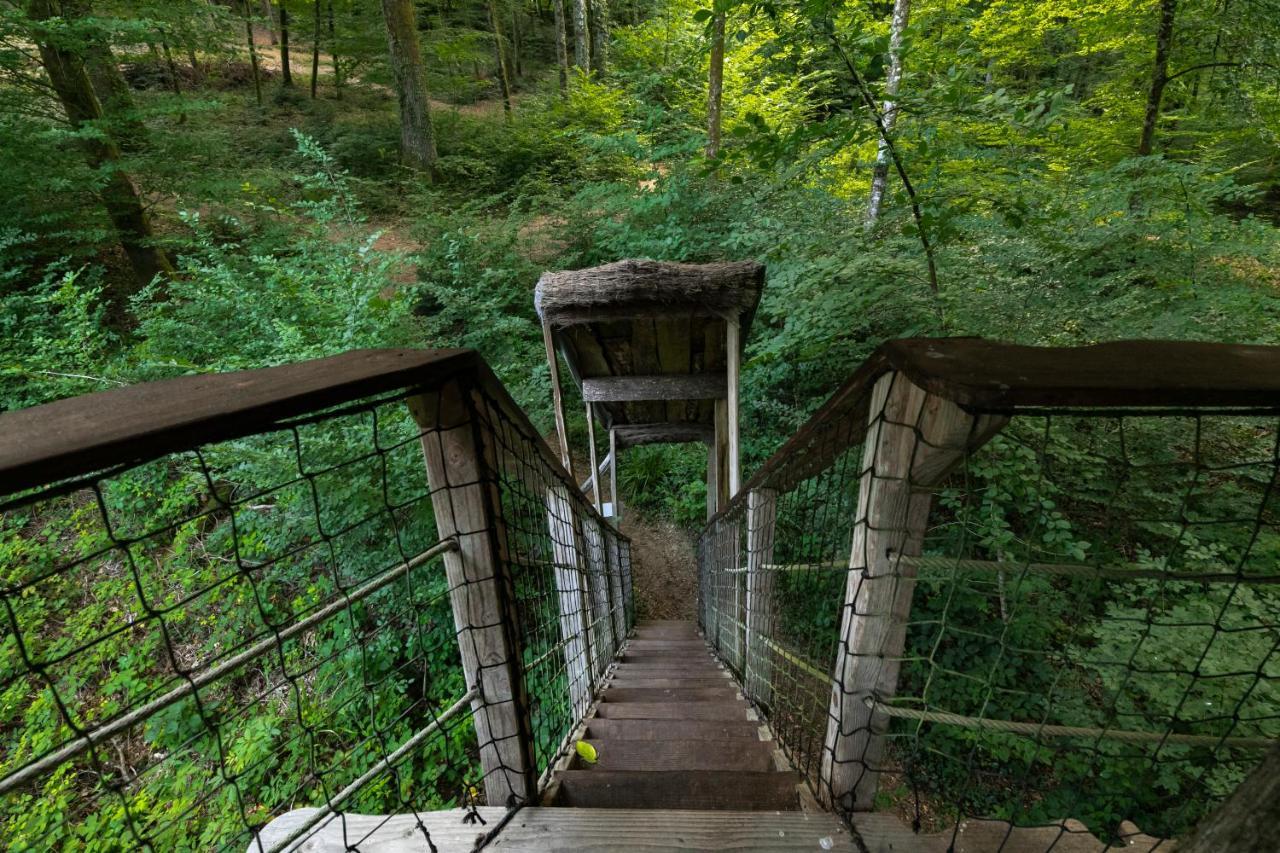 L'Arbre A Cabane Guyonvelle Ngoại thất bức ảnh