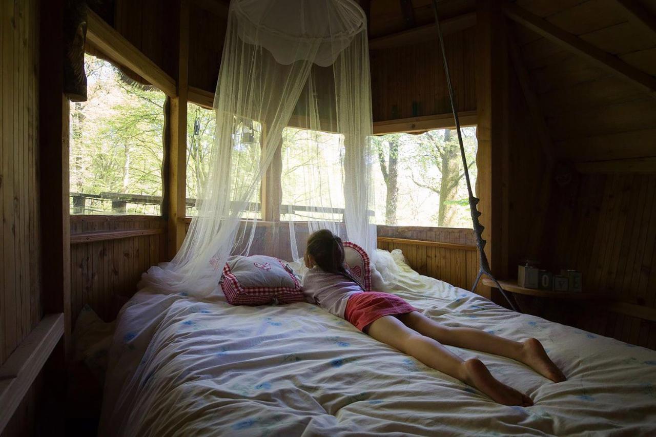 L'Arbre A Cabane Guyonvelle Ngoại thất bức ảnh