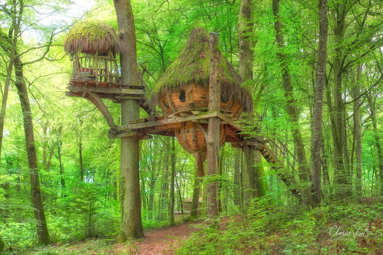 L'Arbre A Cabane Guyonvelle Ngoại thất bức ảnh